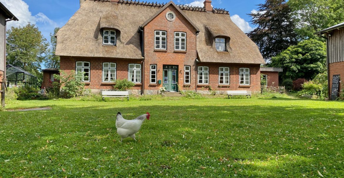 Landleben mit Huhn beim Eerthaus von Janbeck's FAIRhaus