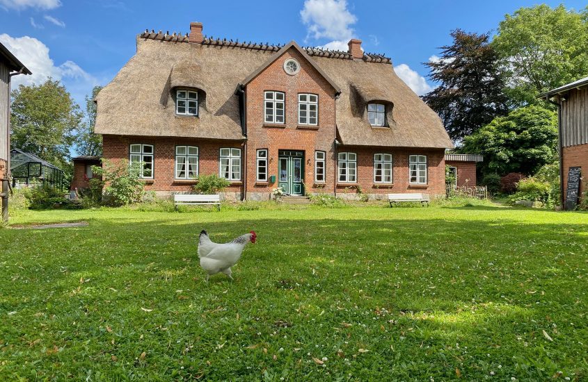 Landleben mit Huhn beim Eerthaus von Janbeck's FAIRhaus